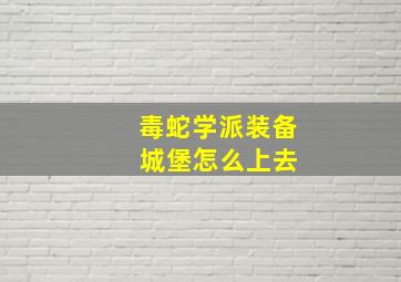 毒蛇学派装备 城堡怎么上去